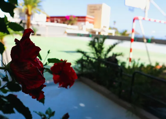 Armonia Apartament *